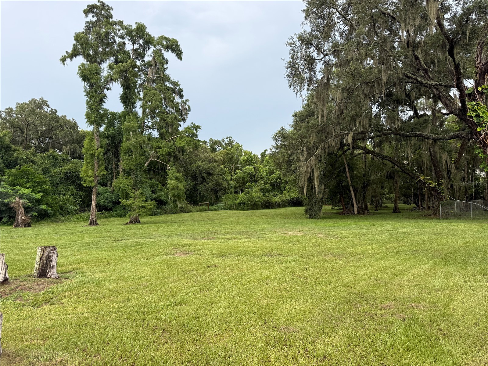 9206 Harney Baptist Church Road Tampa FL 33637 TB8527819 image3