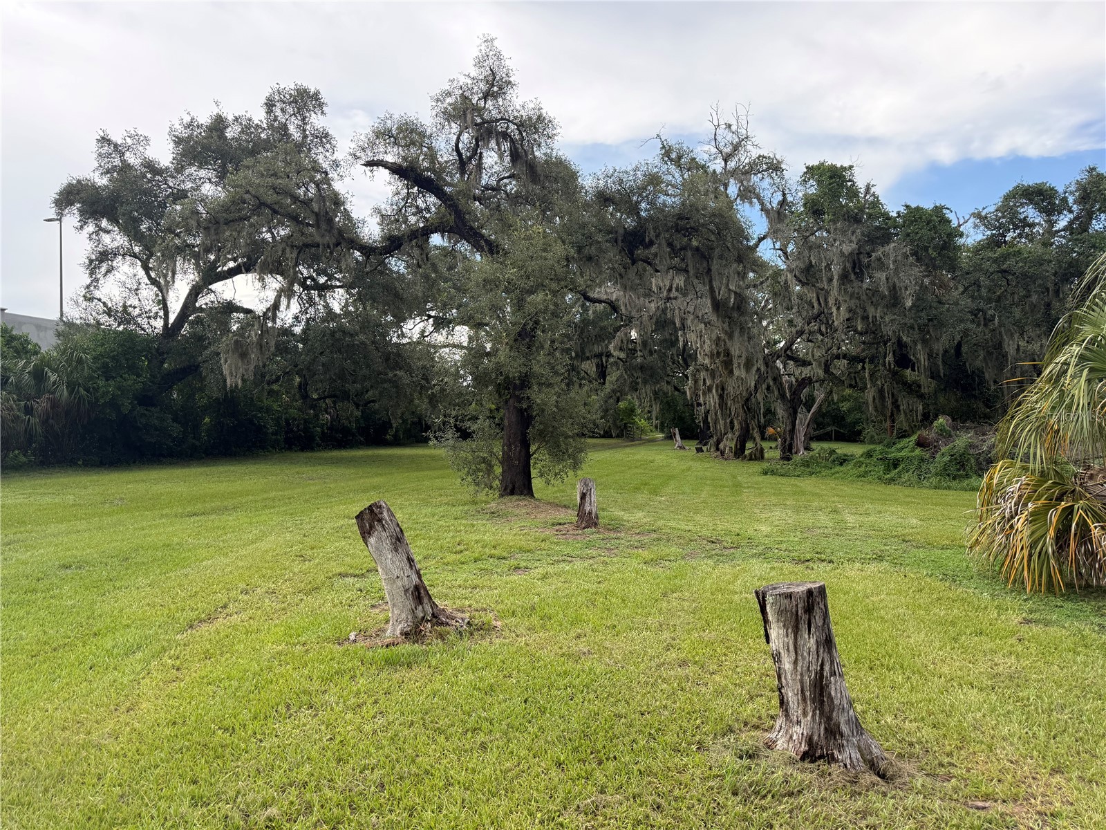 9206 Harney Baptist Church Road Tampa FL 33637 TB8527819 image4