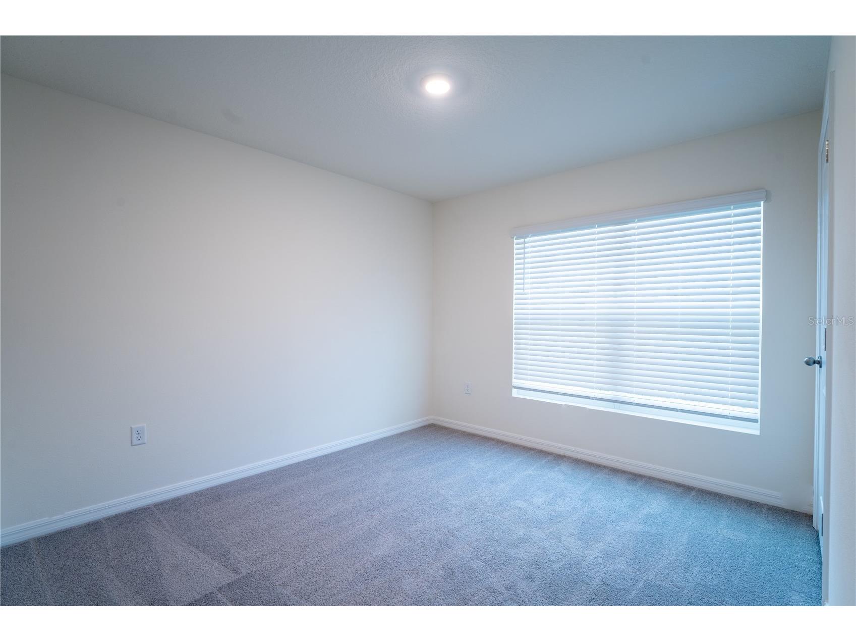 9206 Sapphire Creek Place Tampa FL 33637 TB8489716 image5