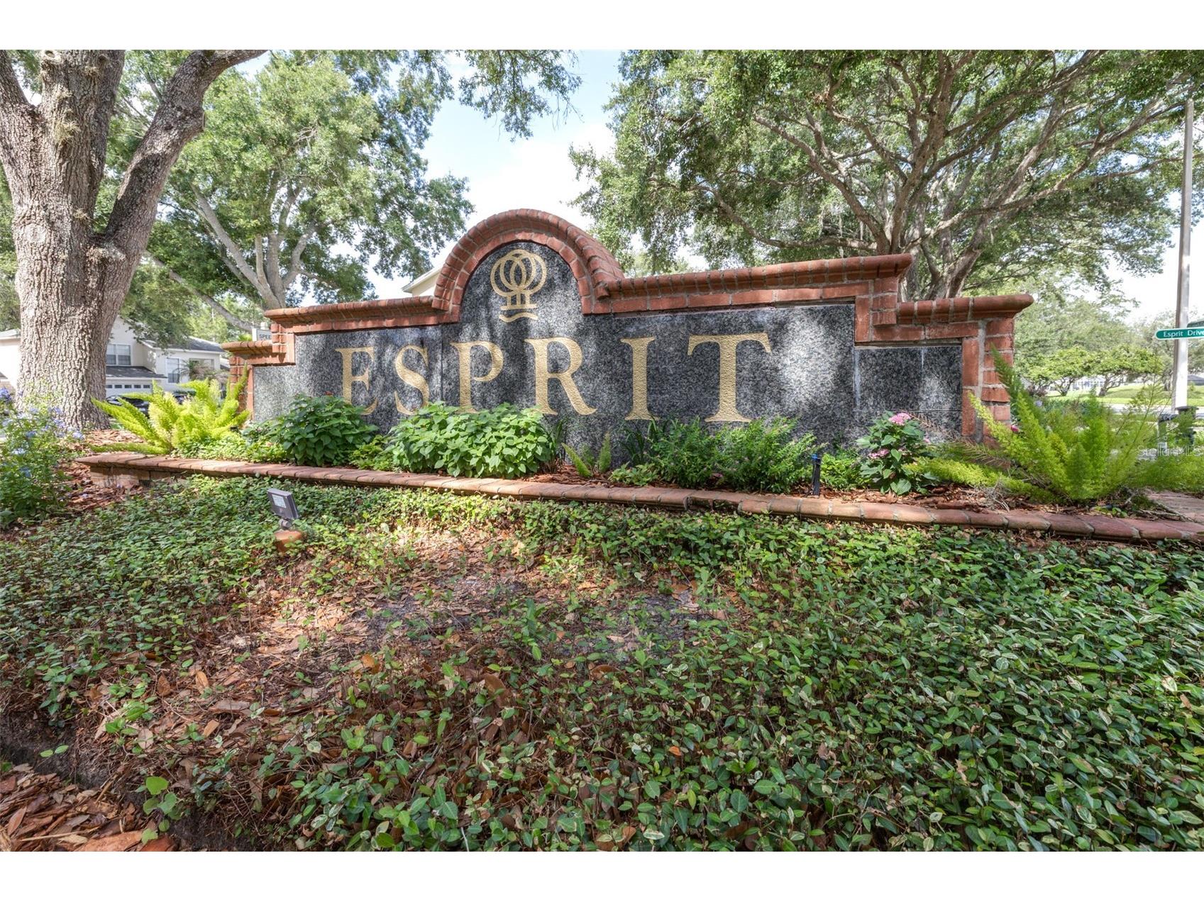 9207 Festival Court Tampa FL 33647 TB8513095 image32