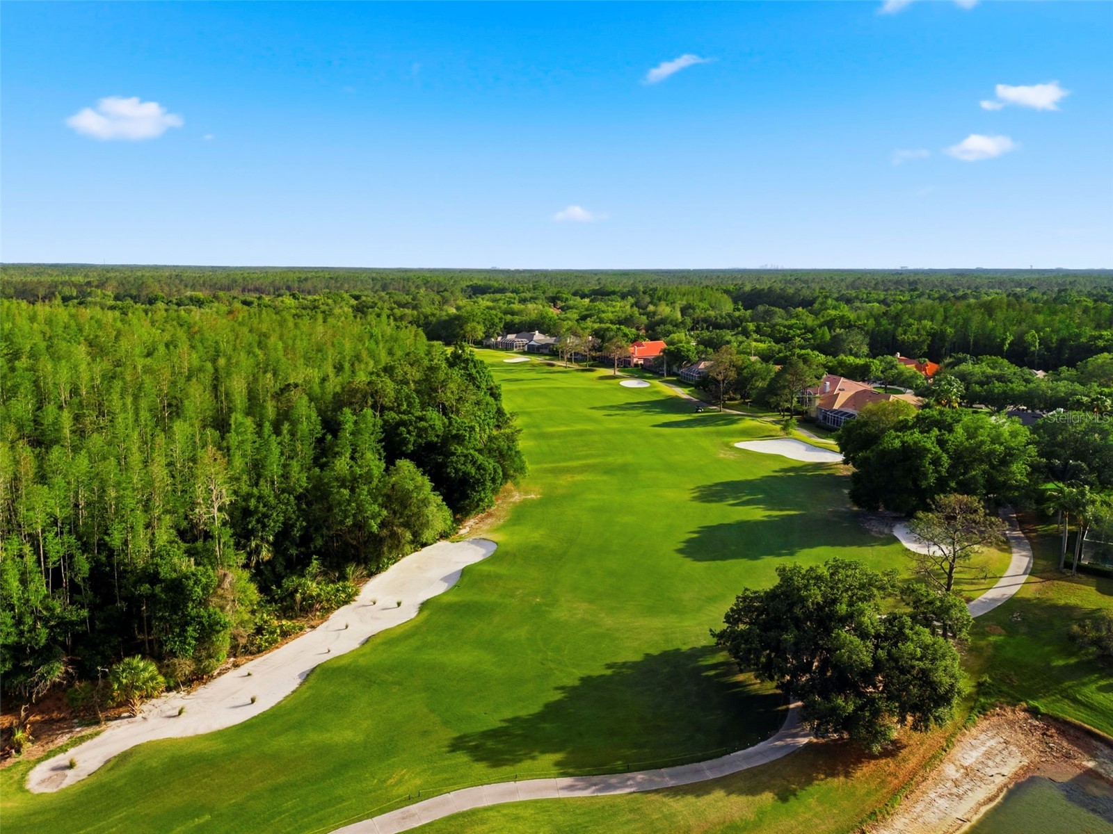 9207 Meadow Lane Court Tampa FL 33647 TB8496673 image100