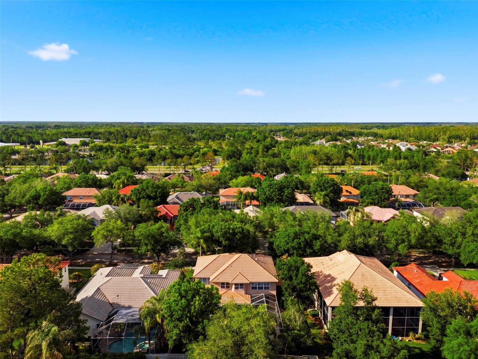 9207 Meadow Lane Court Tampa FL 33647 TB8496673 image91