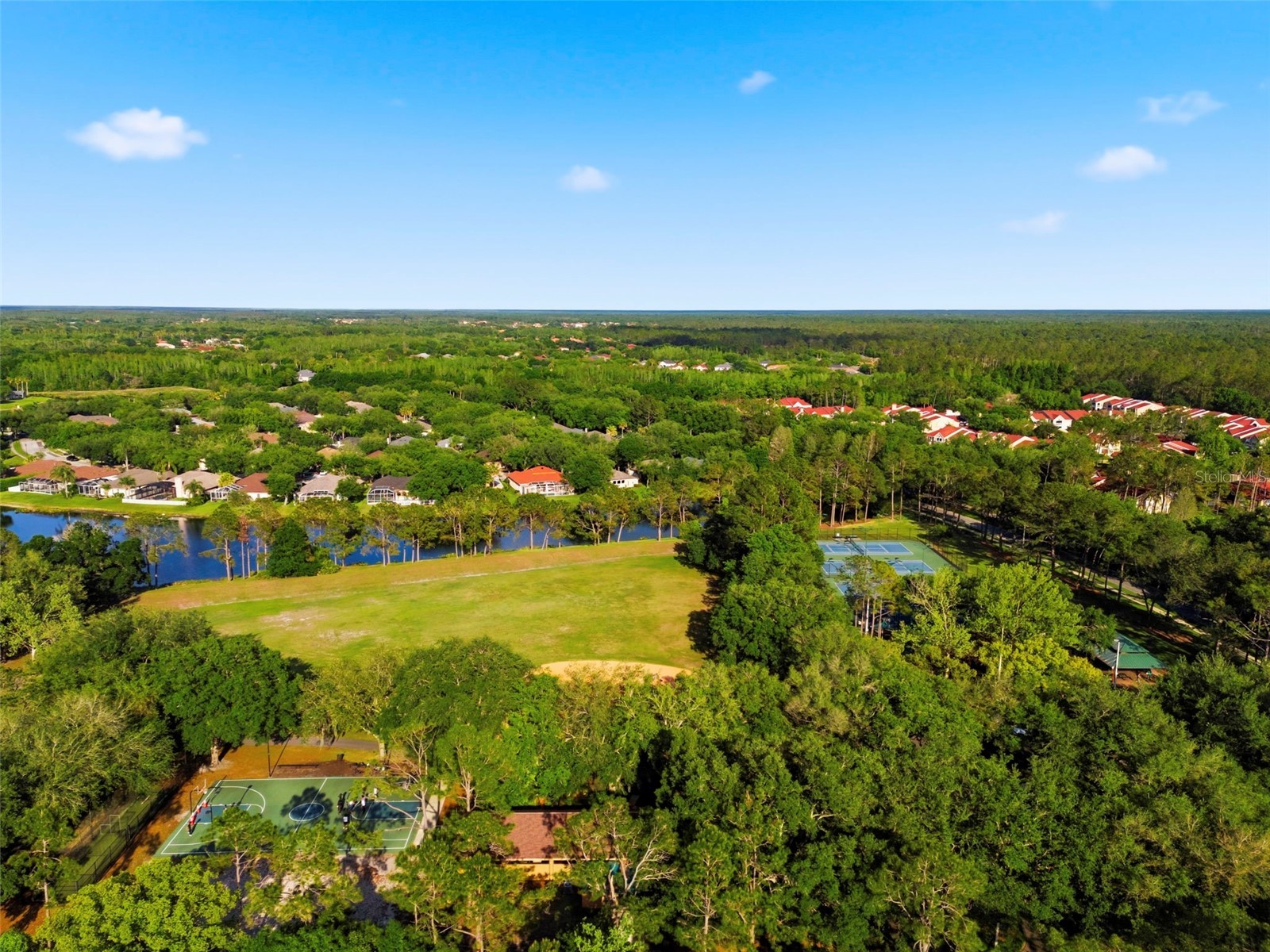 9207 Meadow Lane Court Tampa FL 33647 TB8496673 image95