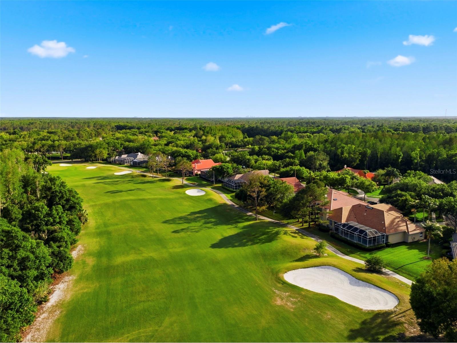 9207 Meadow Lane Court Tampa FL 33647 TB8496673 image97