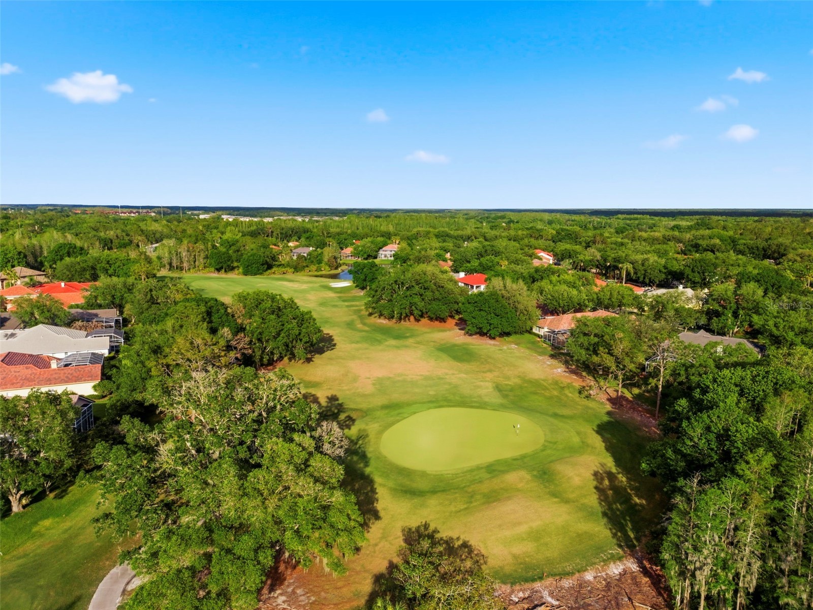 9207 Meadow Lane Court Tampa FL 33647 TB8496673 image98