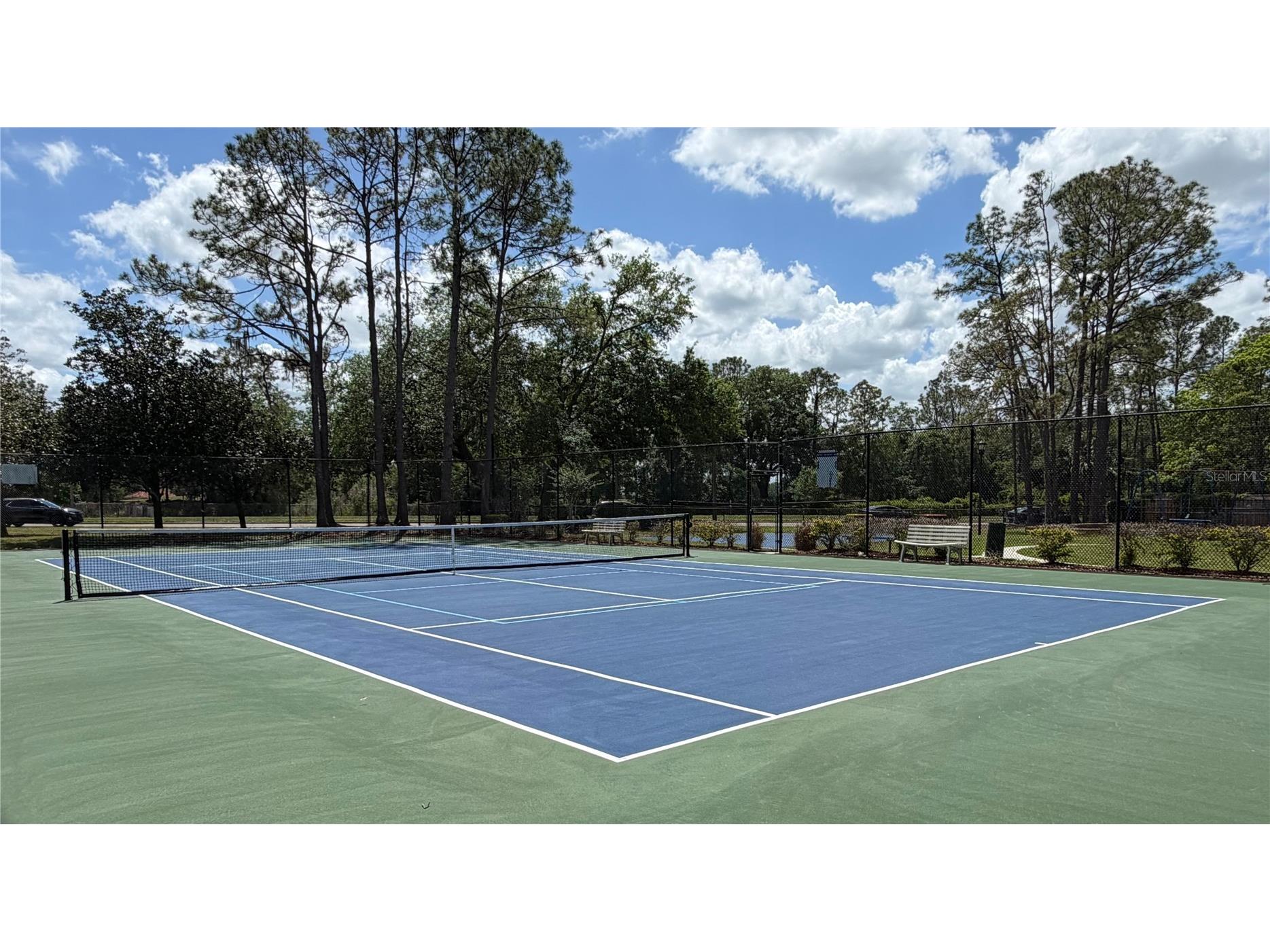 9207 Rockrose Drive Tampa FL 33647 TB8489222 image35