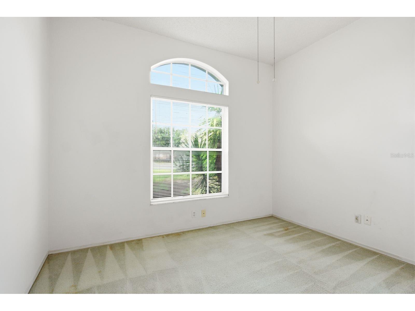 9207 Spring Hill Drive Spring Hill FL 34608 TB8509481 image23