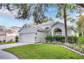 9208 Fawn Crossing Court Tampa FL 33626 T3546310 image1