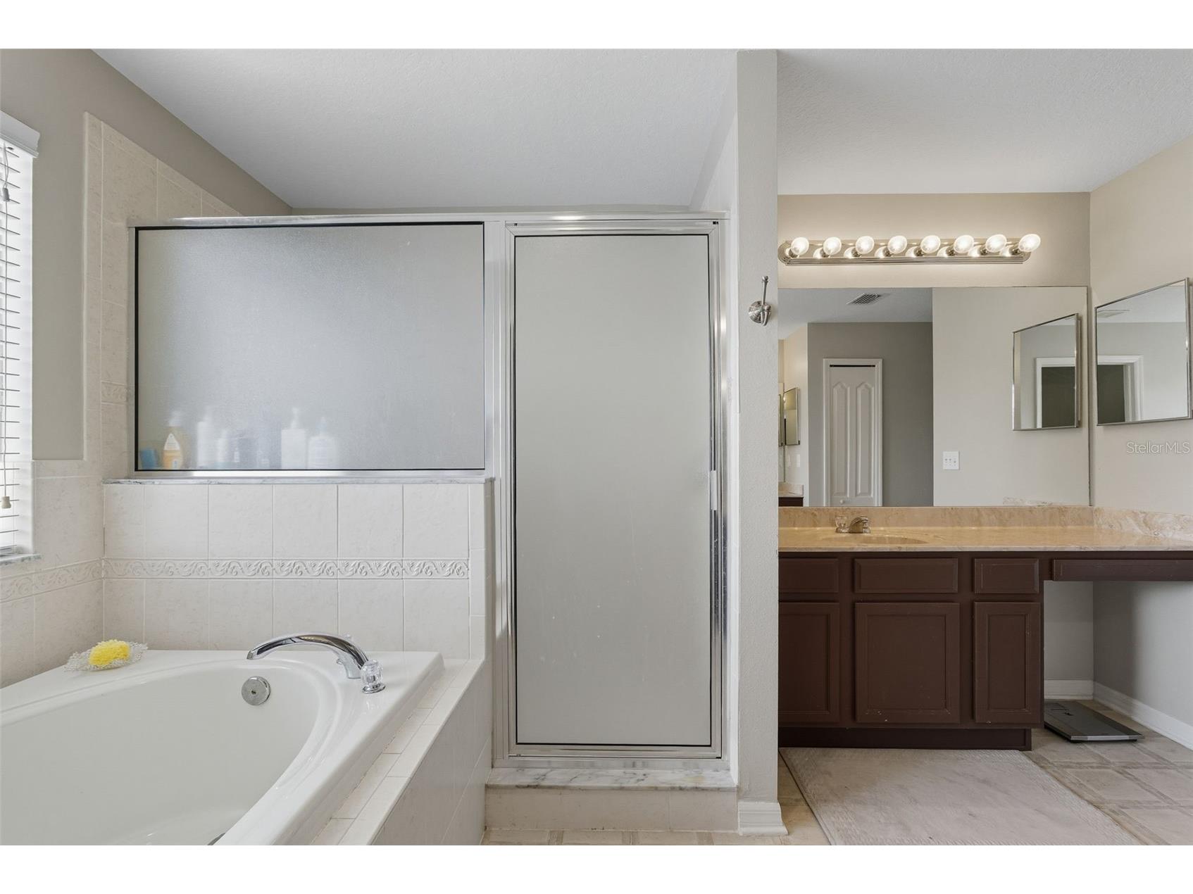 9208 Lost Mill Drive Land O Lakes FL 34638 TB8436546 image31