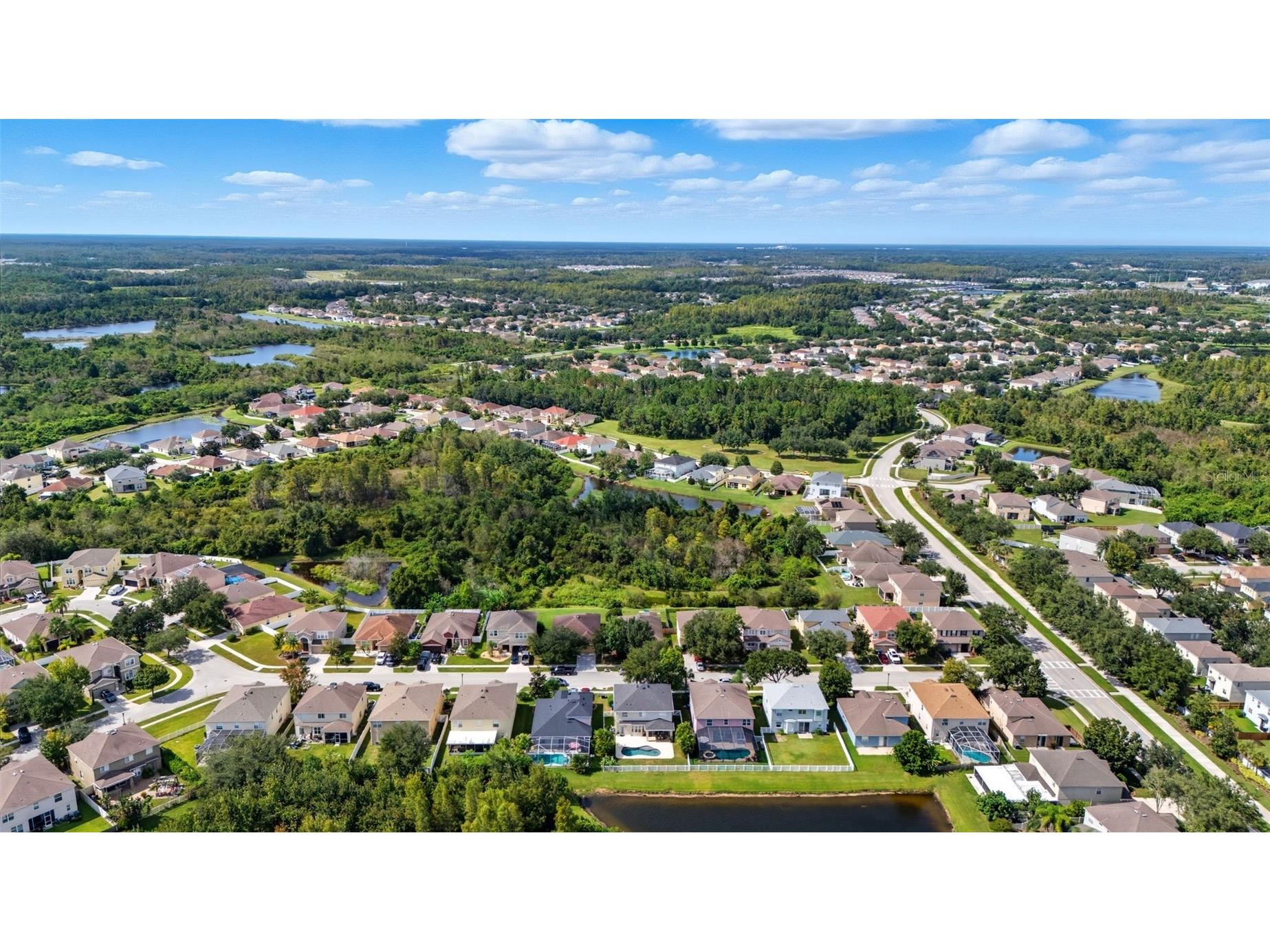 9208 Lost Mill Drive Land O Lakes FL 34638 TB8436546 image44