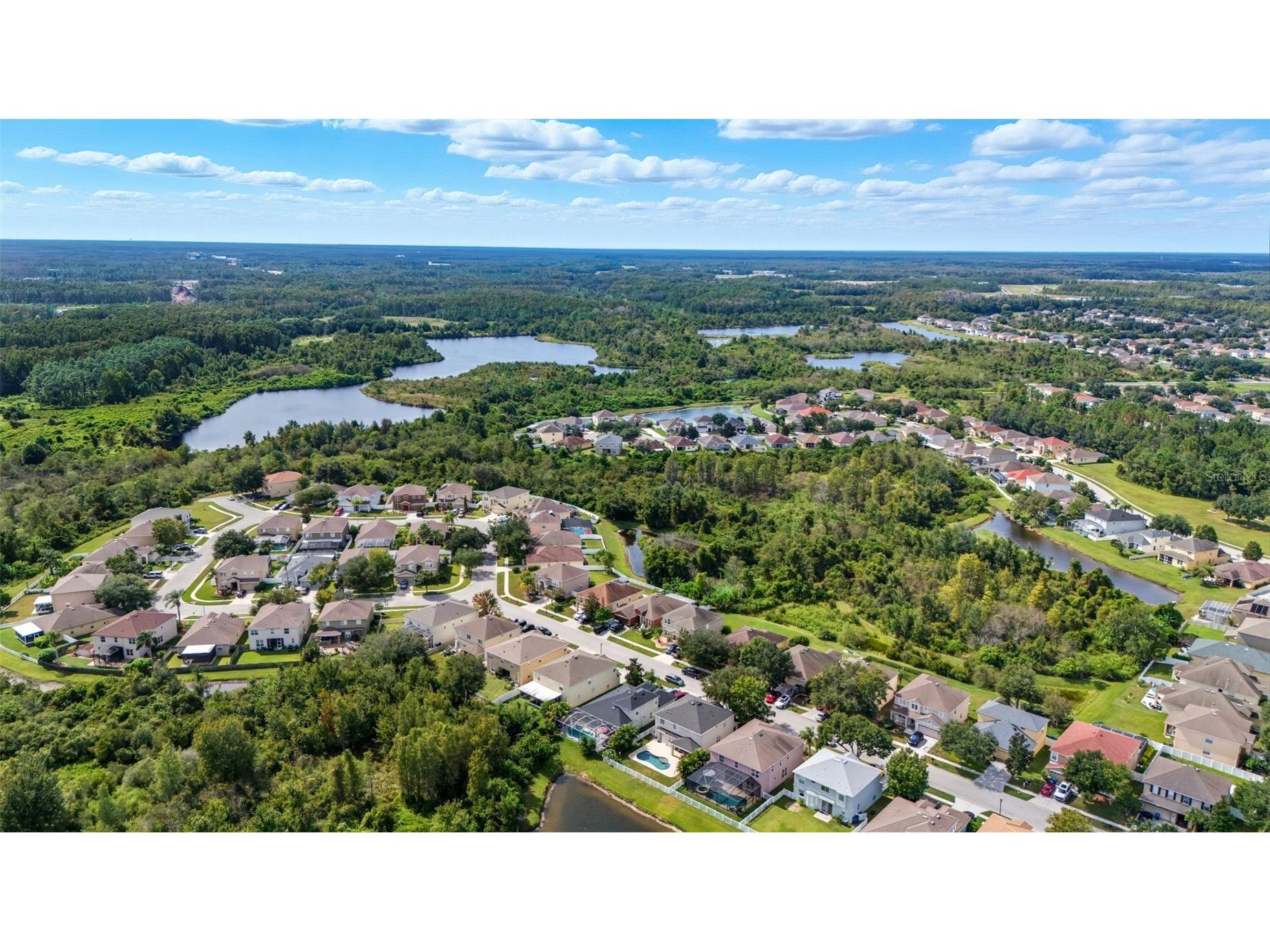 9208 Lost Mill Drive Land O Lakes FL 34638 TB8436546 image46