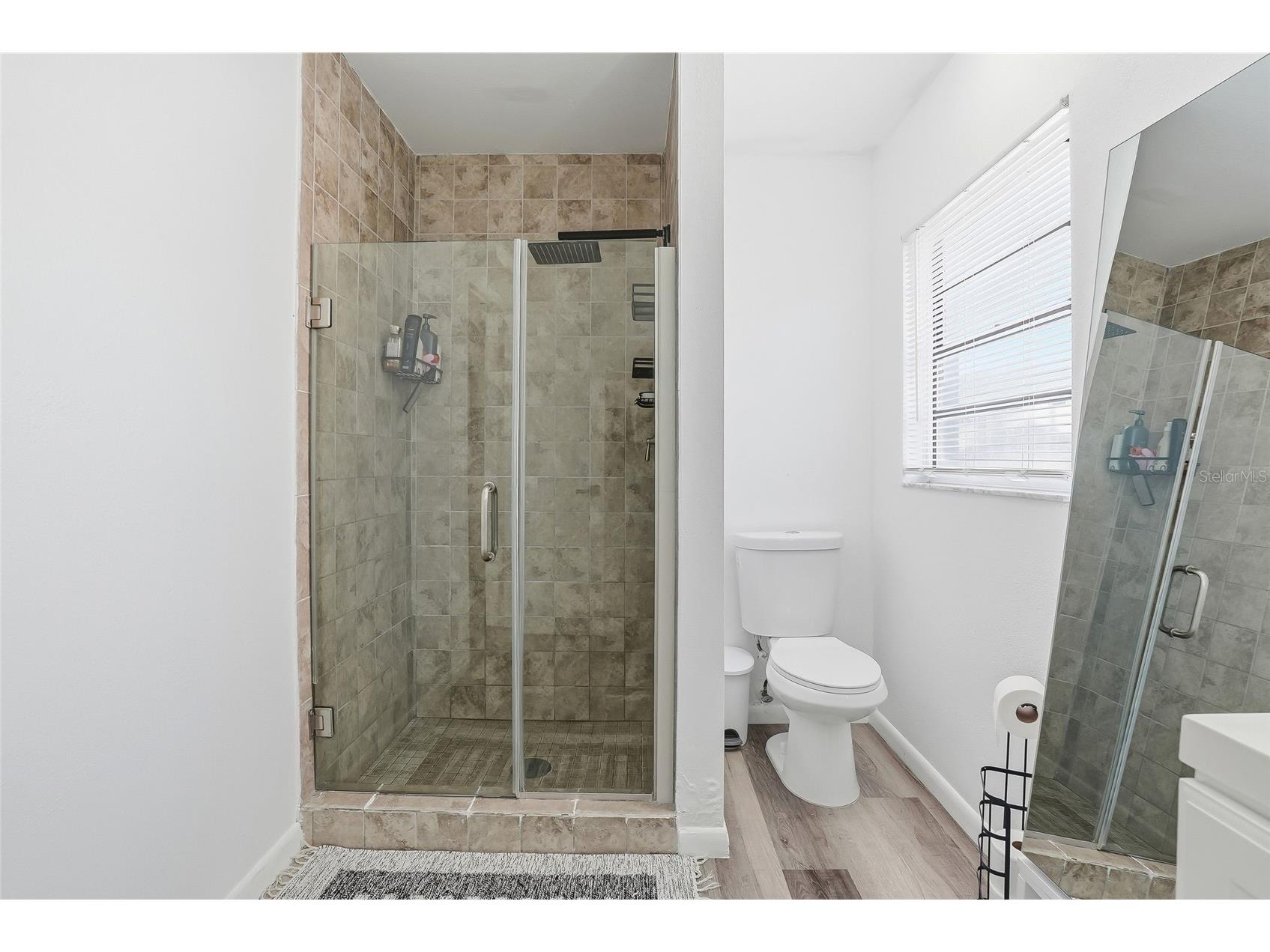 9209 Camino Villa Boulevard Tampa FL 33635 TB8470926 image34