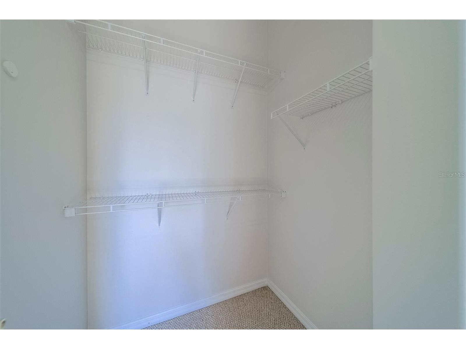 9209 Jakes Path Largo FL 33771 TB8521333 image35