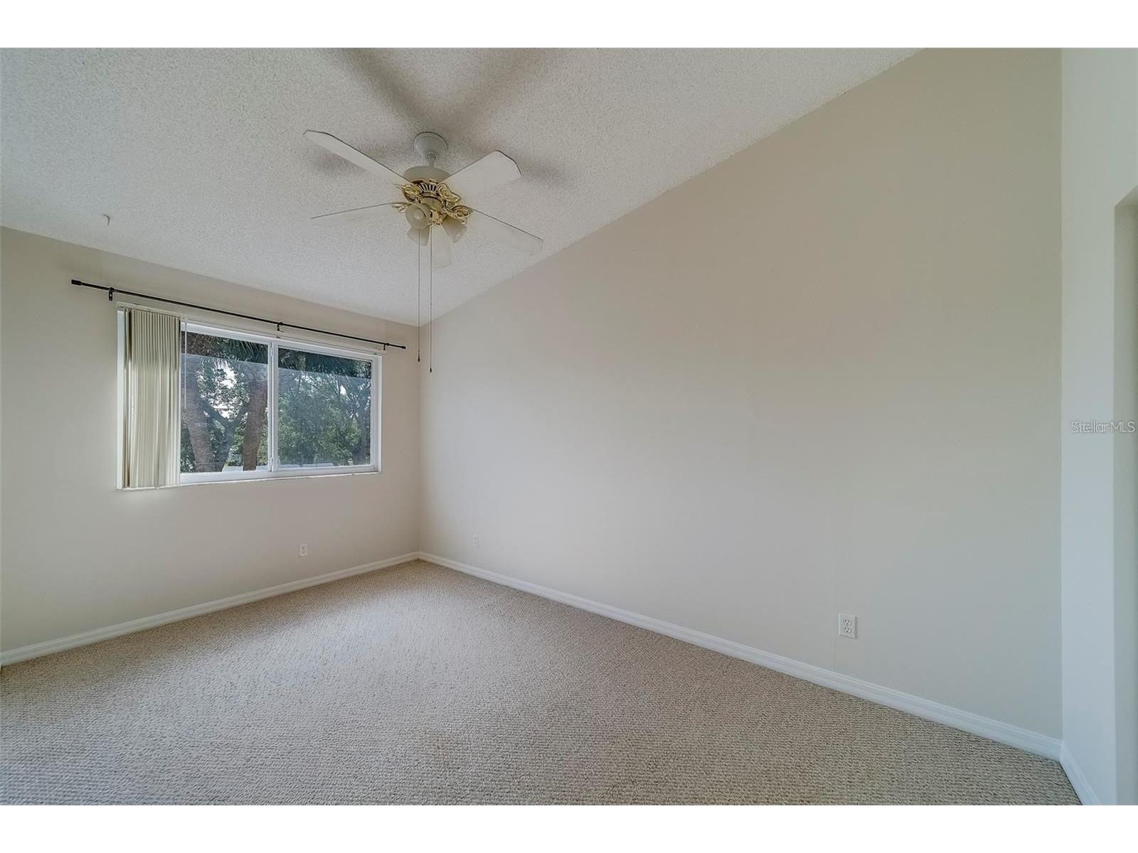 9209 Jakes Path Largo FL 33771 TB8521333 image36