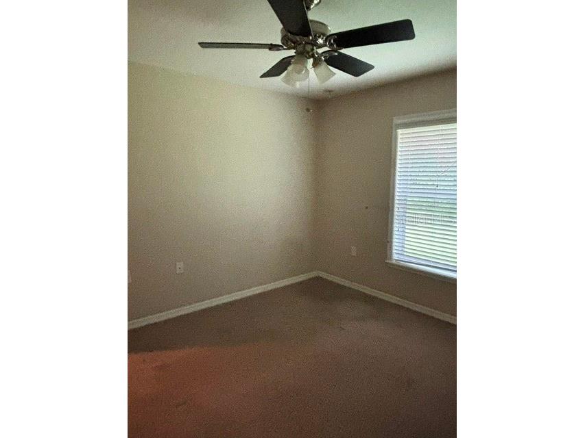 9209 Mcintyre Road Brooksville FL 34601 TB8526868 image39