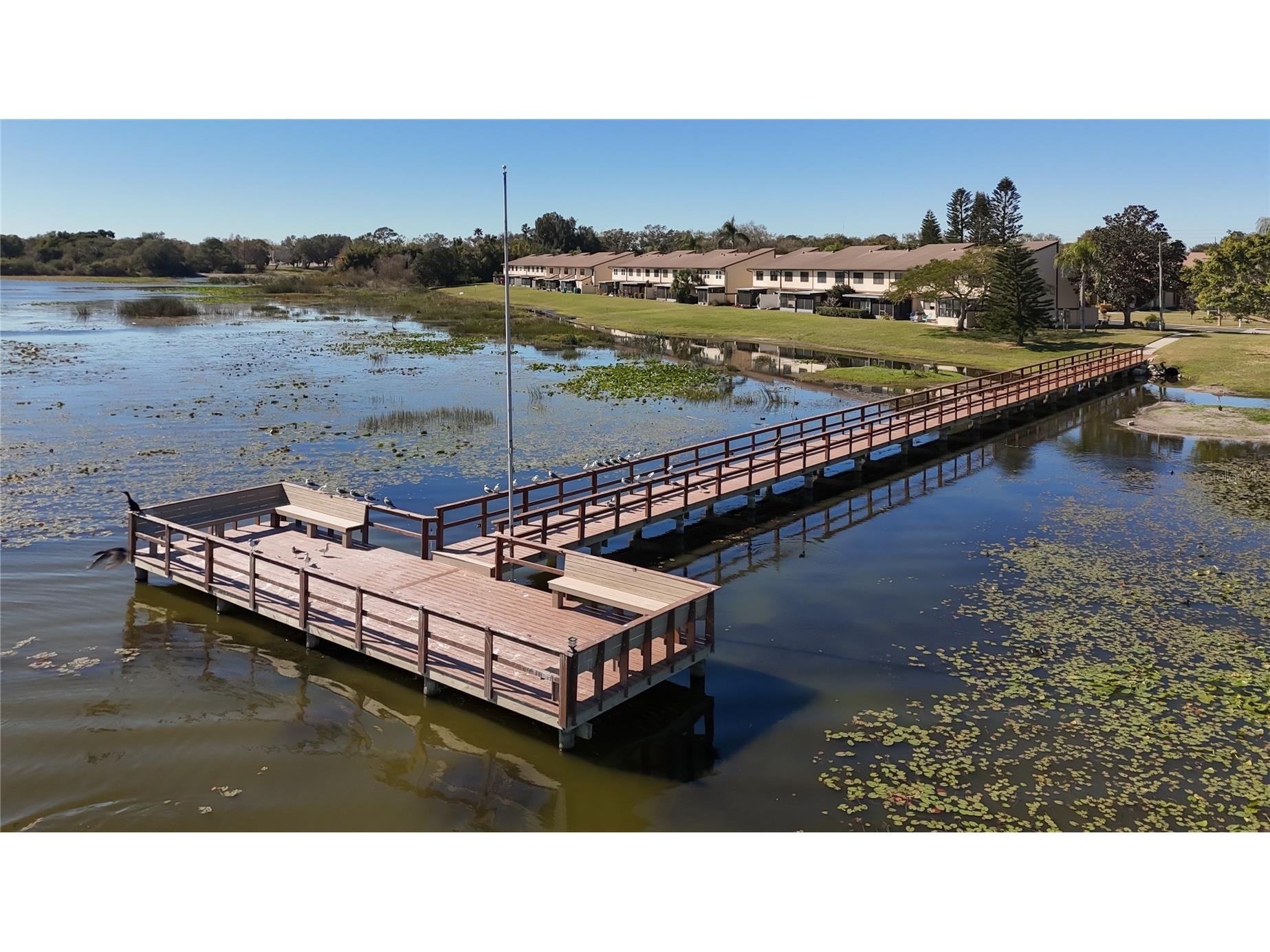 9209 Seminole Boulevard #32 Seminole FL 33772 - LAKE SEMINOLE TB8513531 image51
