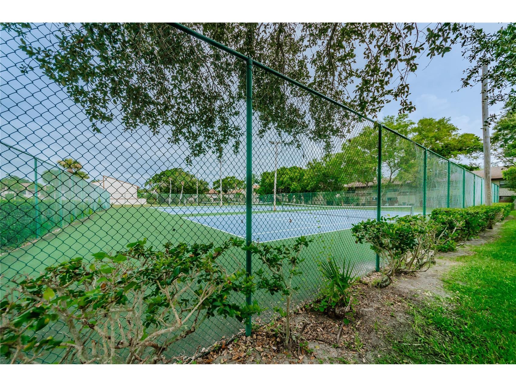 9209 Seminole Boulevard #67 Seminole FL 33772 TB8528003 image31
