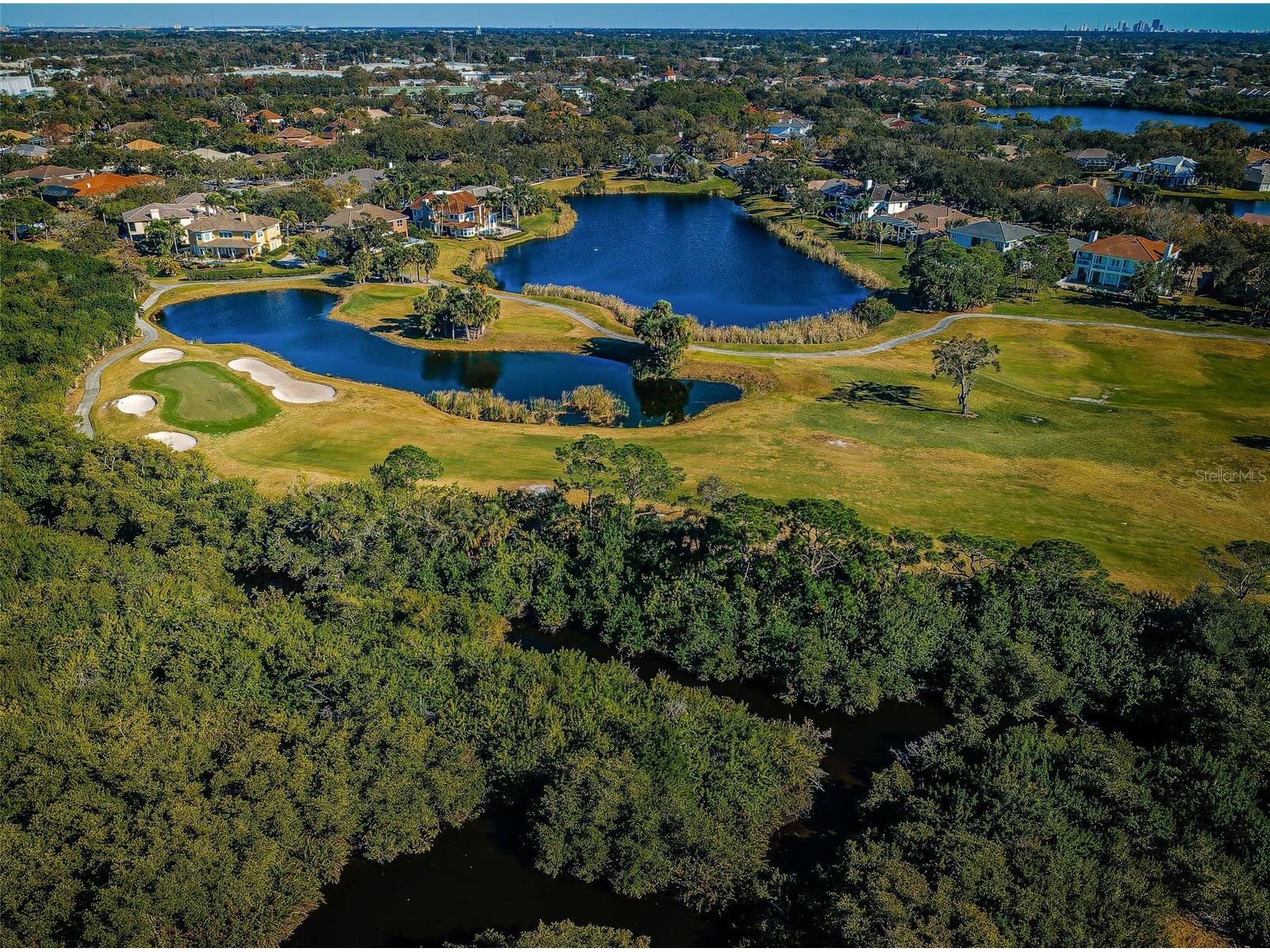 9209 Silverthorn Road Seminole FL 33777 TB8472678 image85