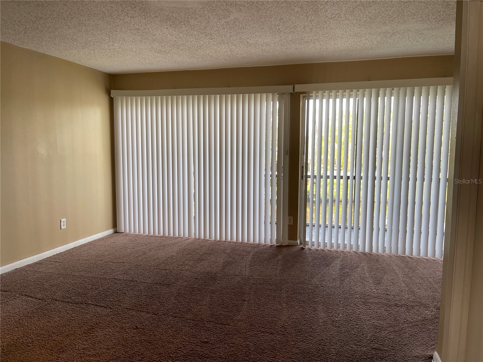 9209 Tudor Drive #C203 Tampa FL 33615 TB8512262 image10