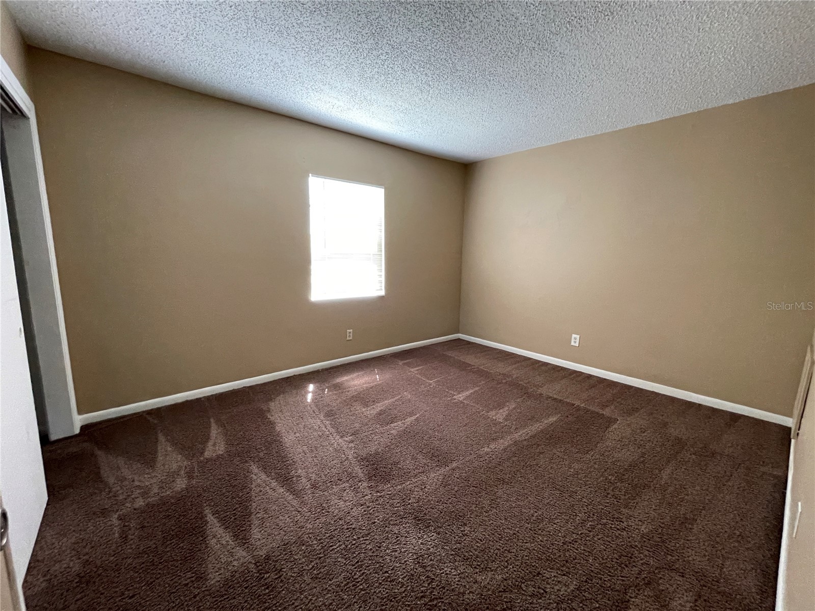 9209 Tudor Drive #C203 Tampa FL 33615 TB8512262 image16