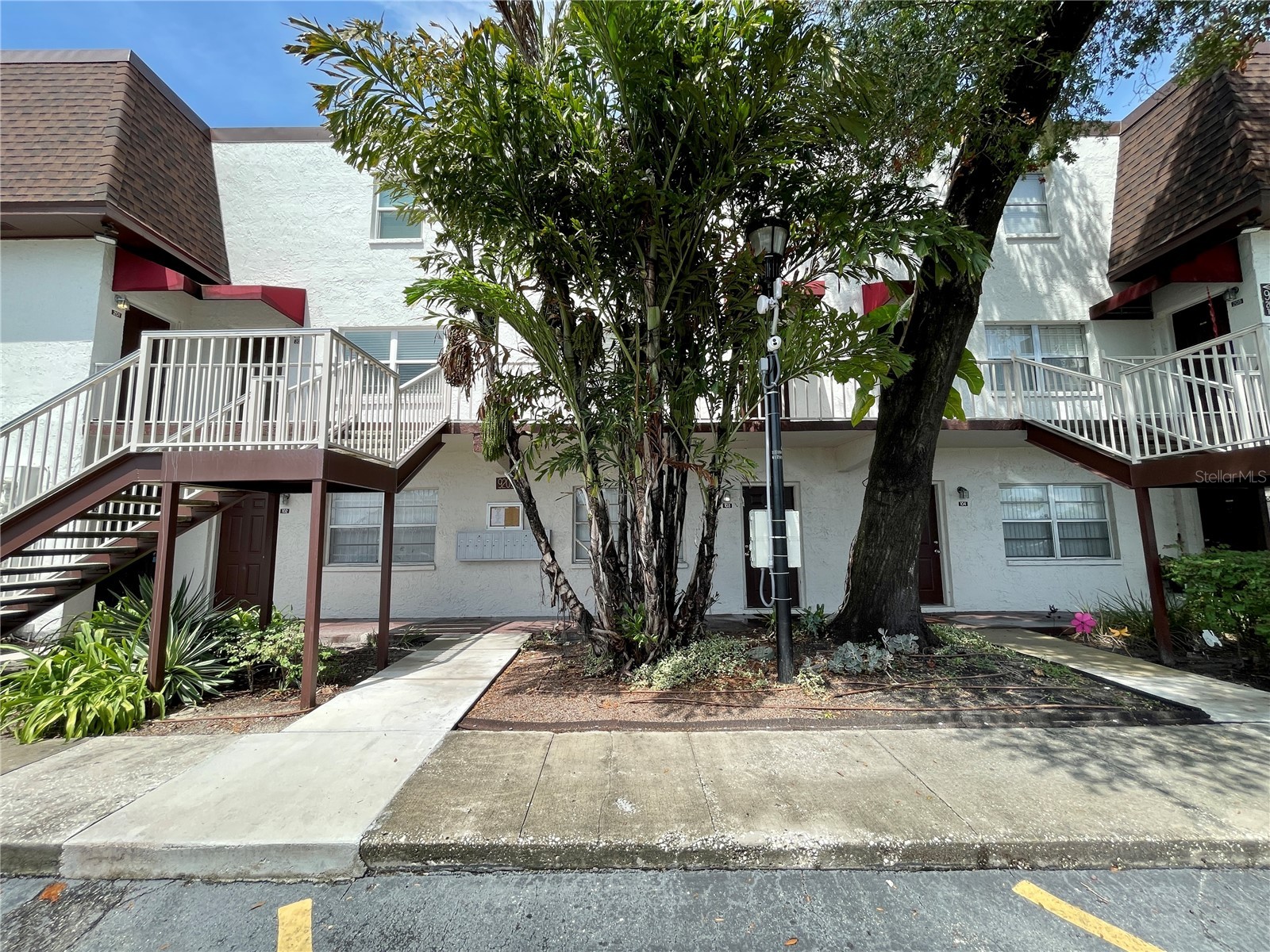 9209 Tudor Drive #C203 Tampa FL 33615 TB8512262 image2