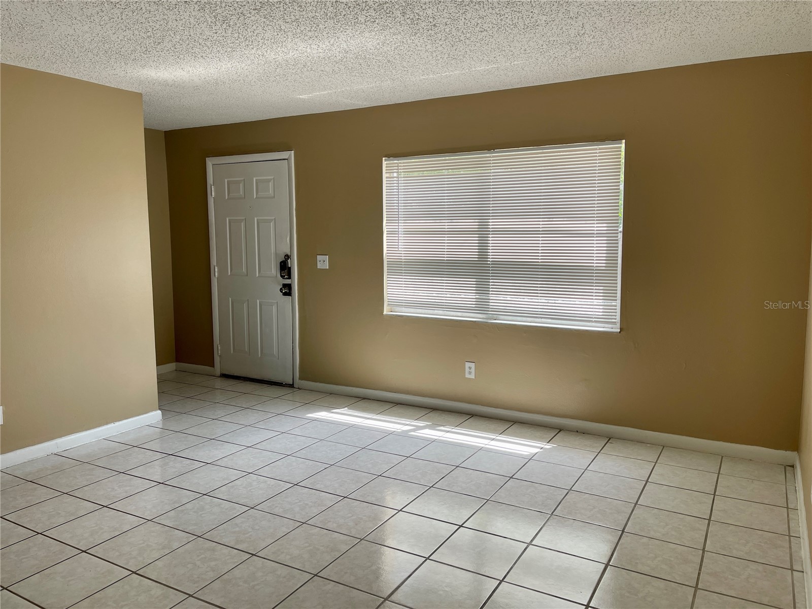 9209 Tudor Drive #C203 Tampa FL 33615 TB8512262 image4