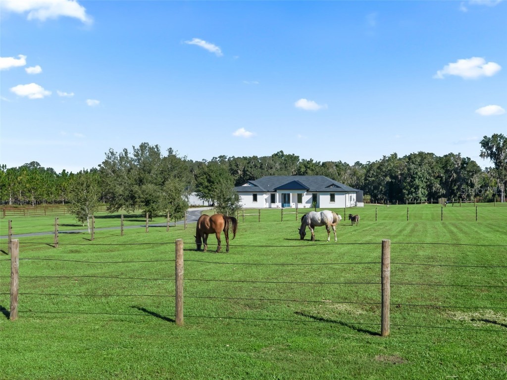 9209 W Highway 316 Reddick FL 32686 OM711504 image6