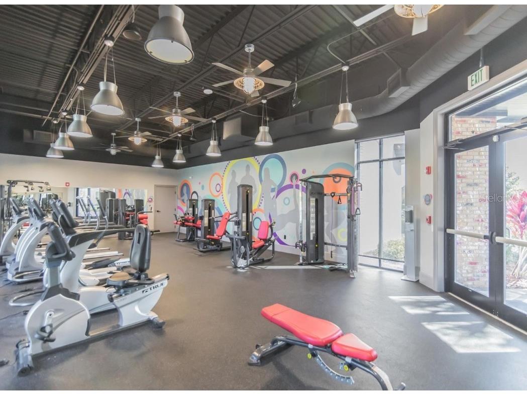 921 Conch Road Davenport FL 33896 S5133465 image19