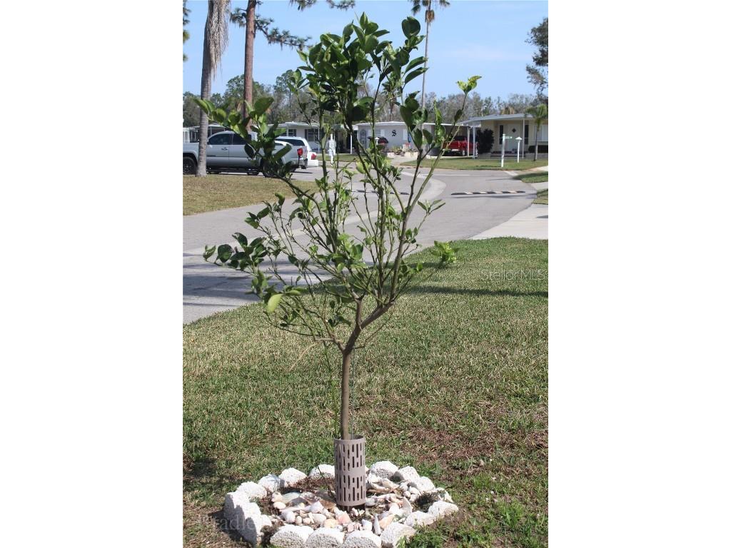 921 Faith Circle E #40 Bradenton FL 34212 - MANATEE RIVER TB8345724 image36