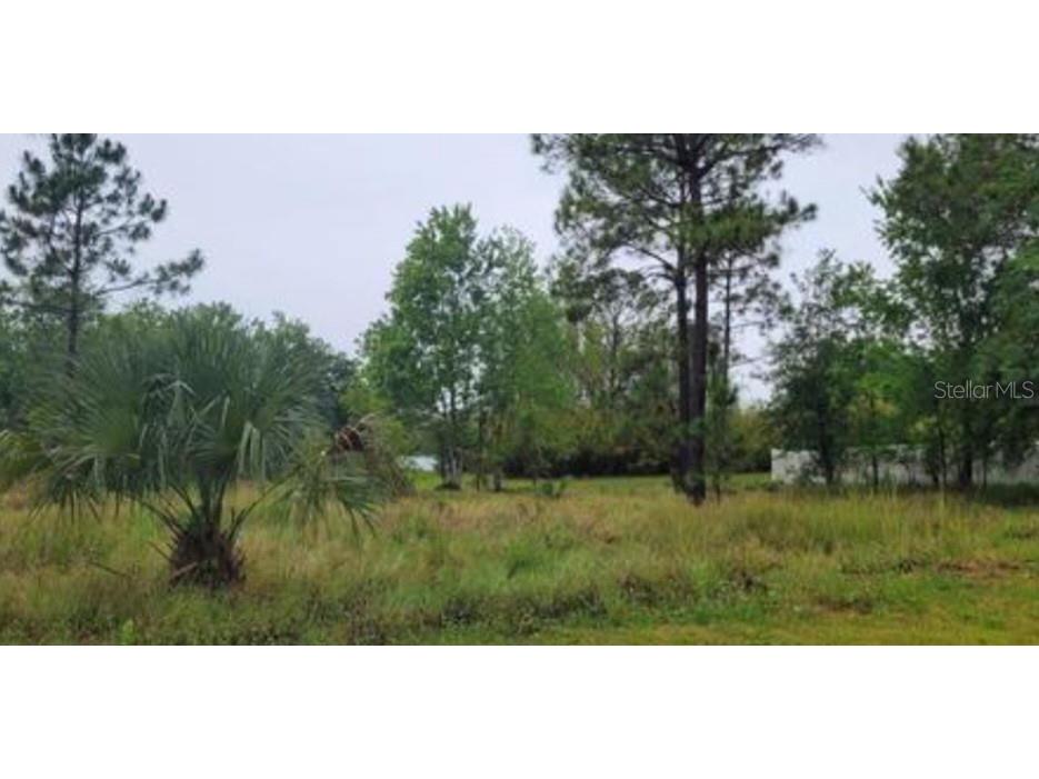 921 Halifax Drive Kissimmee FL 34758 S5091858 image1