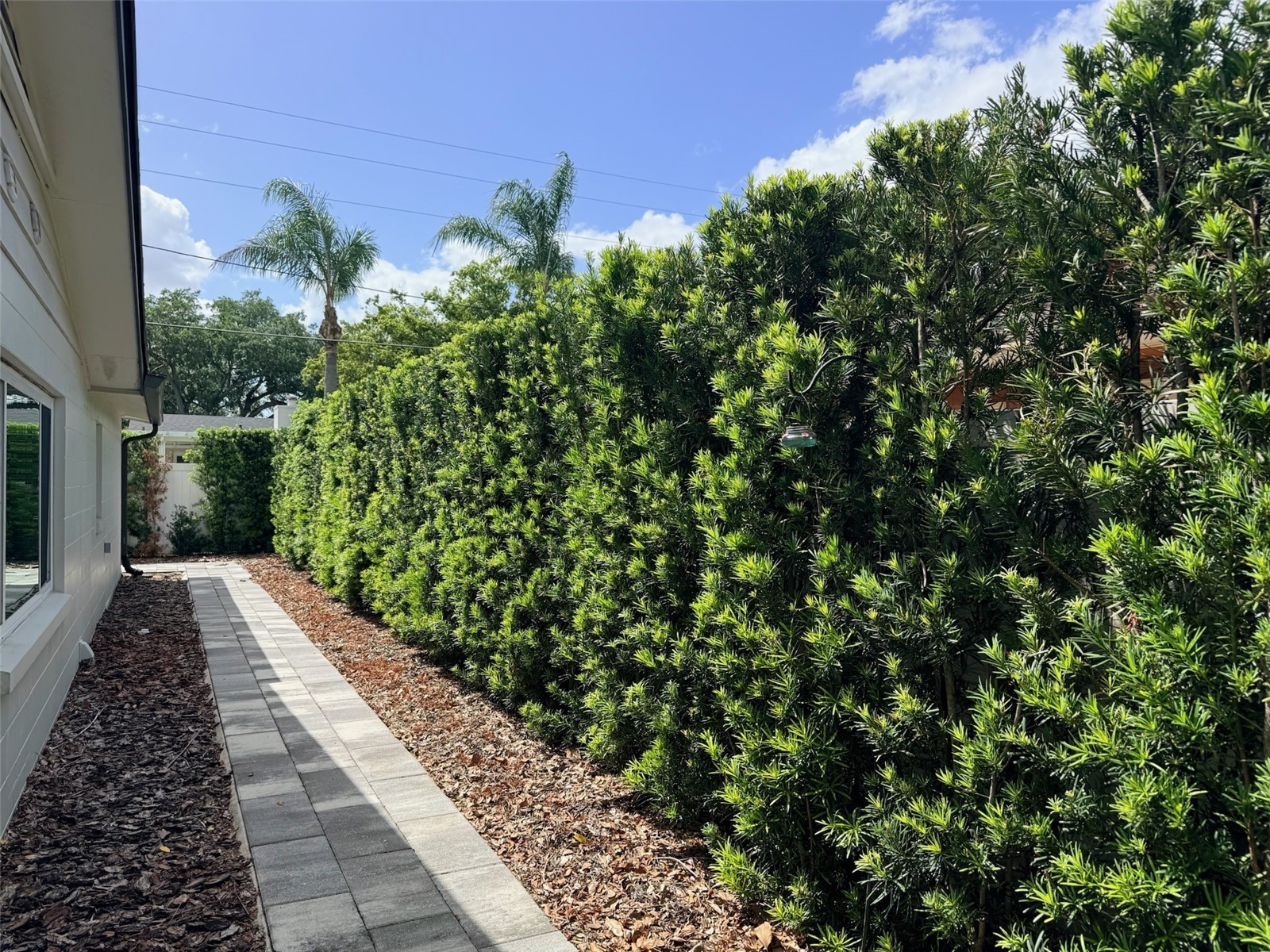 921 N Thistle Lane Maitland FL 32751 R4911080 image38