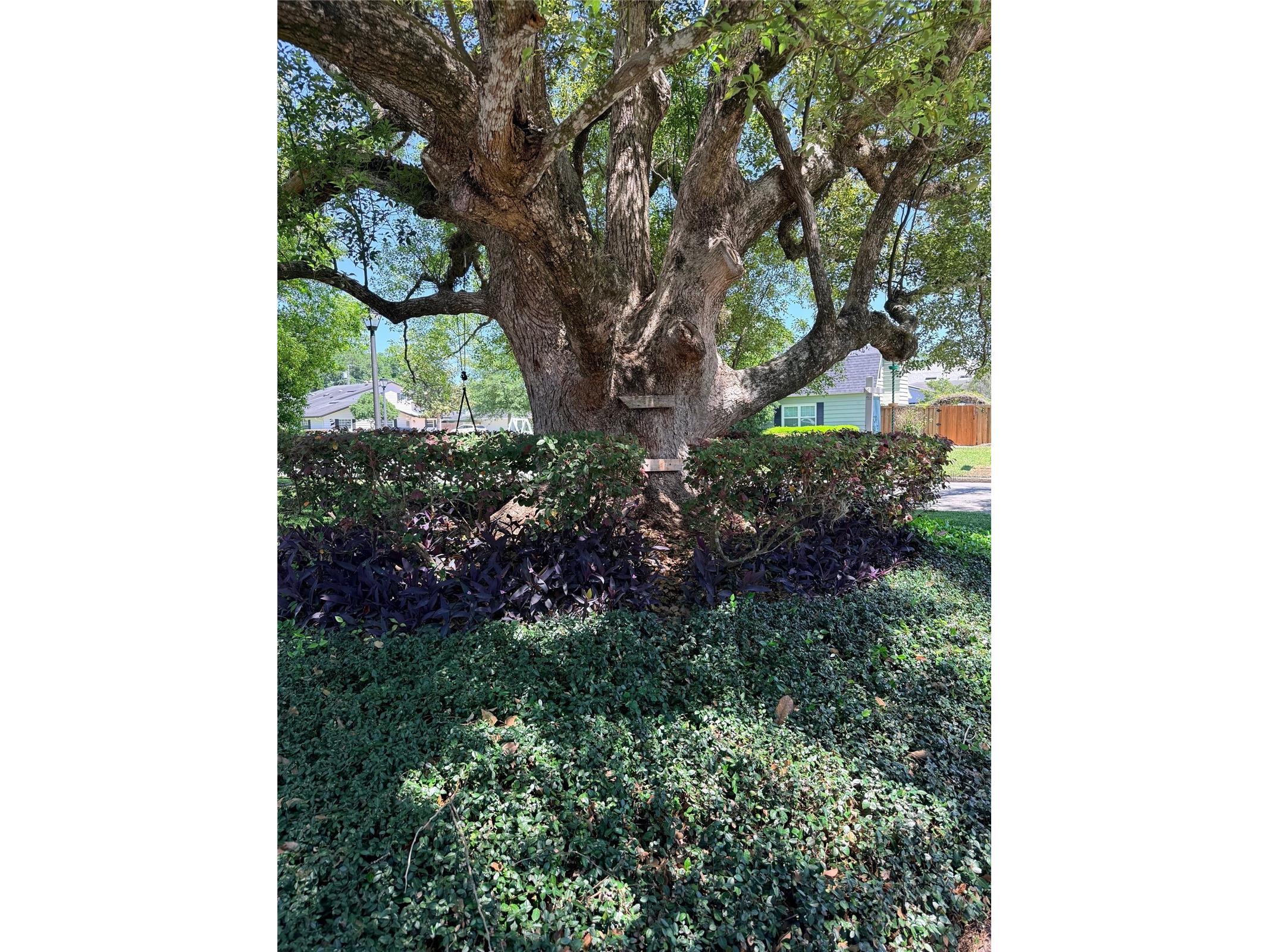 921 N Thistle Lane Maitland FL 32751 R4911080 image39