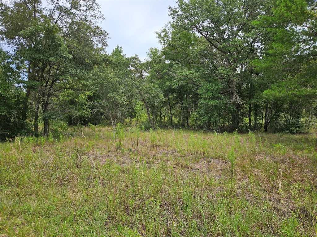 921 NE 148th Court Williston FL 32696 OM705033 image1