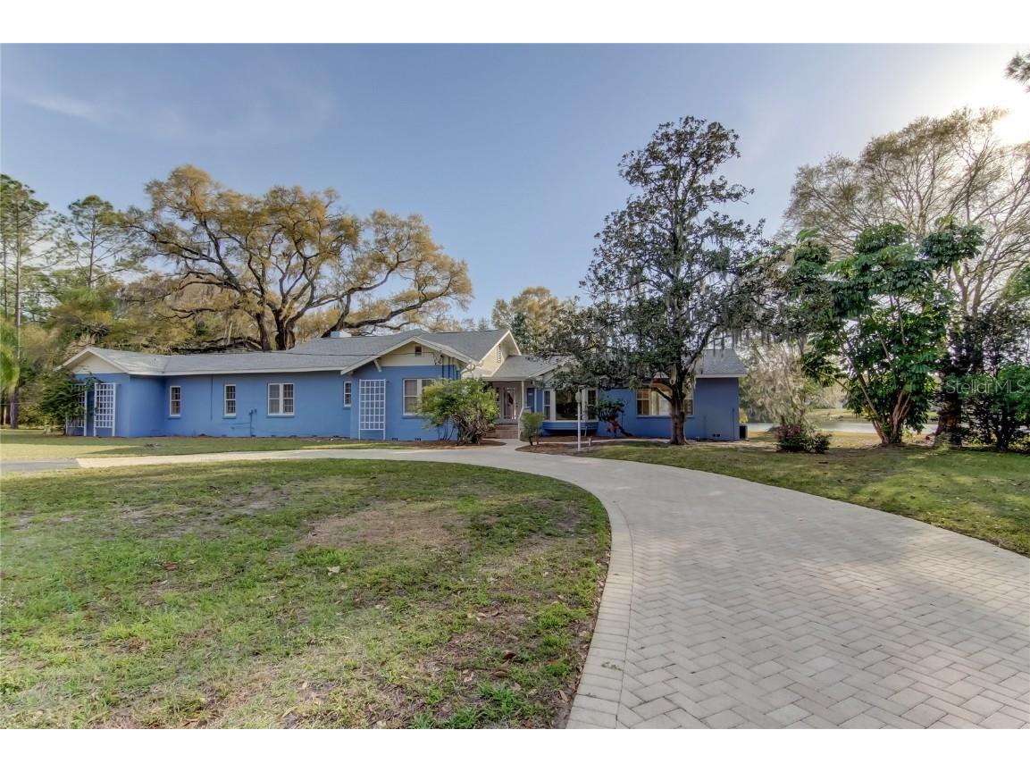 921 Newberger Road Lutz FL 33549 - FIENSINGER LAKE T3508087 image1