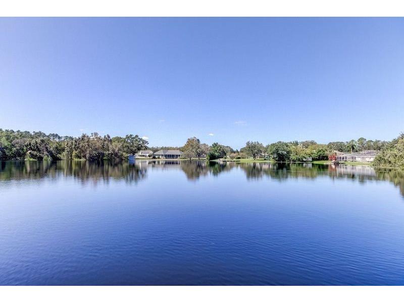 921 Newberger Road Lutz FL 33549 - FEINSINGER LAKE TB8310648 image1