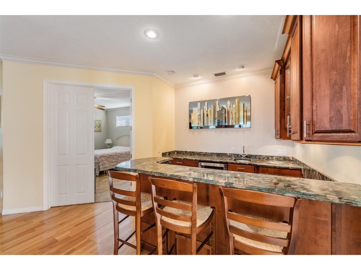 921 Point Seaside Drive Crystal Beach FL 34681 TB8445184 image19