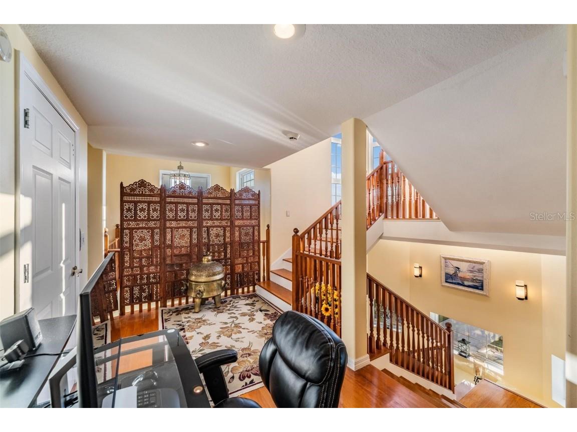 921 Point Seaside Drive Crystal Beach FL 34681 TB8445184 image39