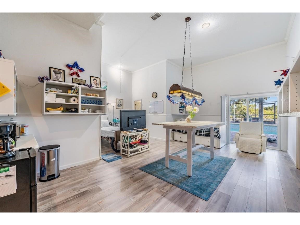 921 Point Seaside Drive Crystal Beach FL 34681 TB8445184 image45