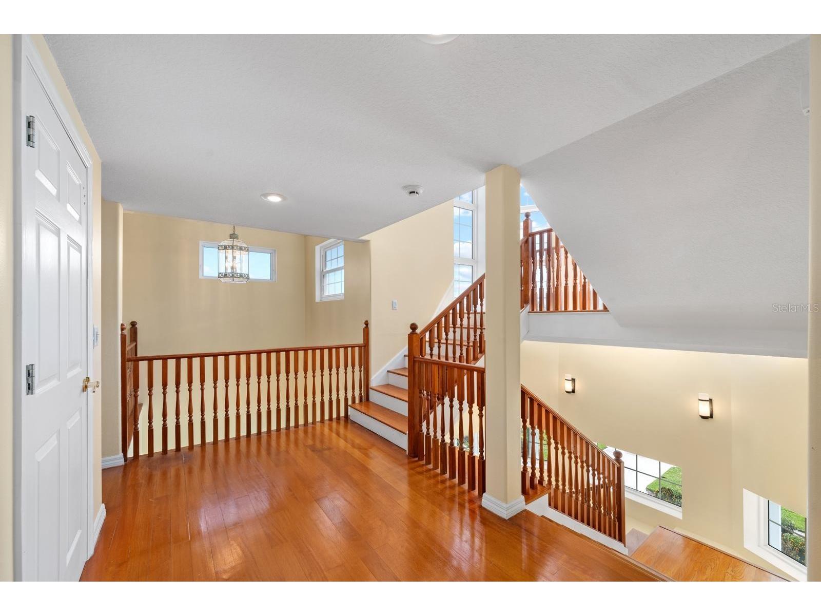921 Point Seaside Drive Crystal Beach FL 34681 TB8513317 image15