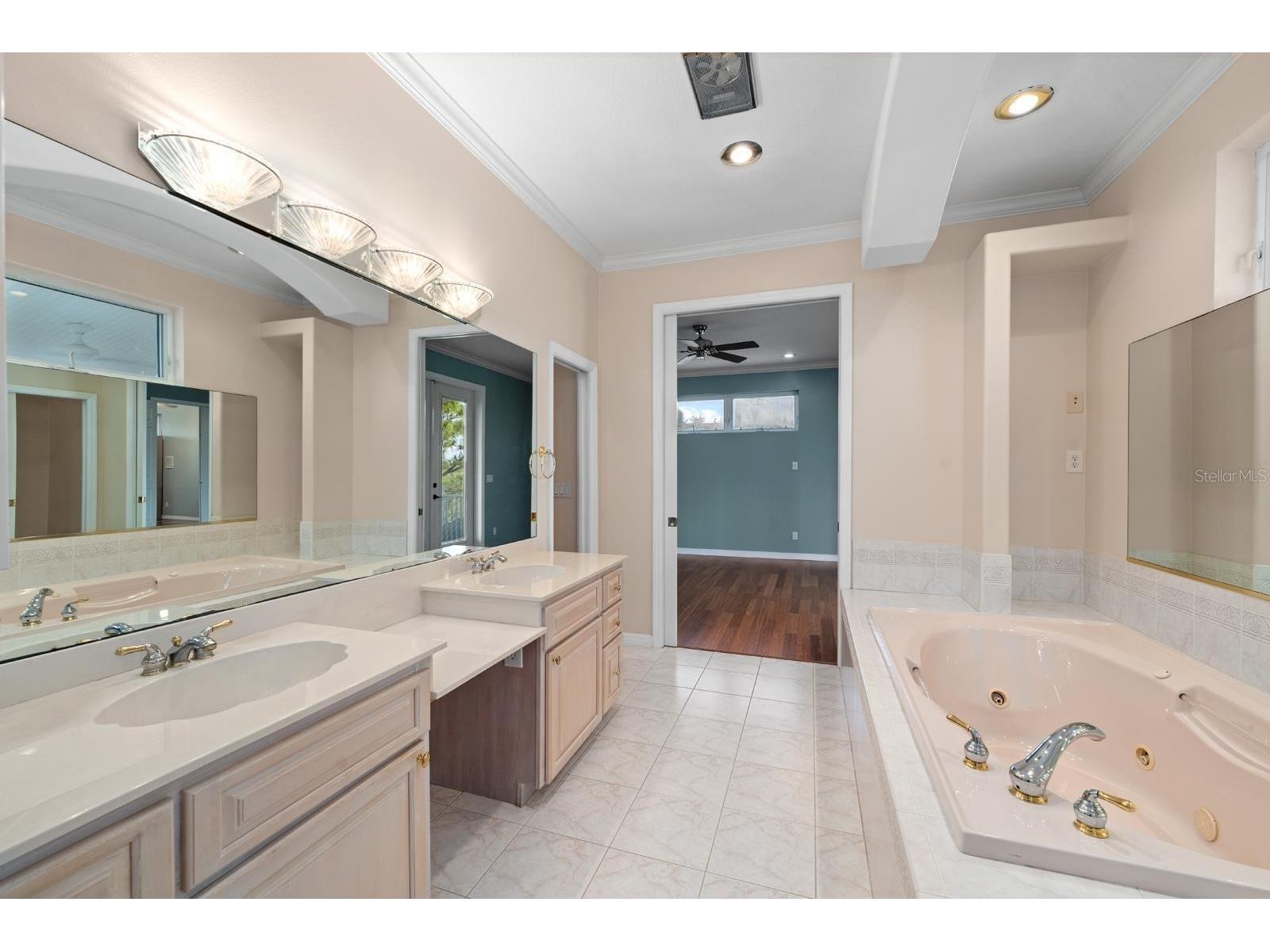 921 Point Seaside Drive Crystal Beach FL 34681 TB8513317 image19