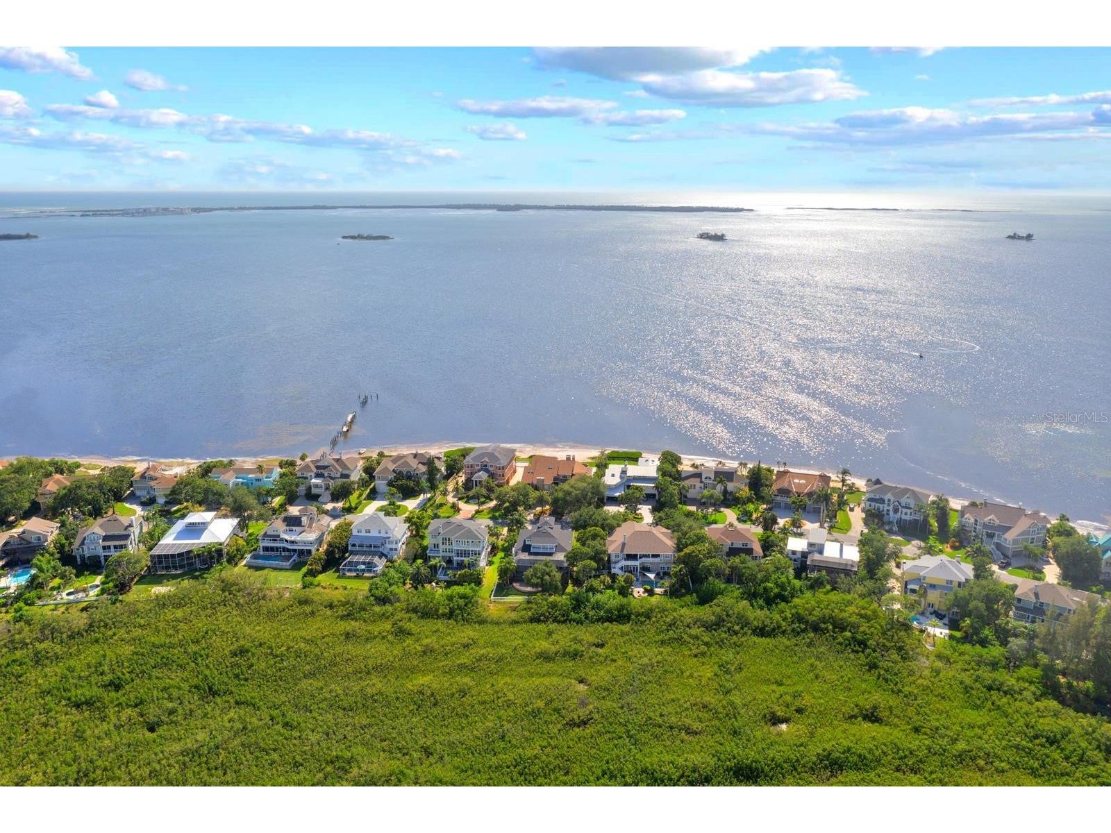 921 Point Seaside Drive Crystal Beach FL 34681 TB8513317 image41