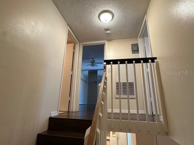 921 Royal Oak Boulevard Leesburg FL 34748 O6373192 image19