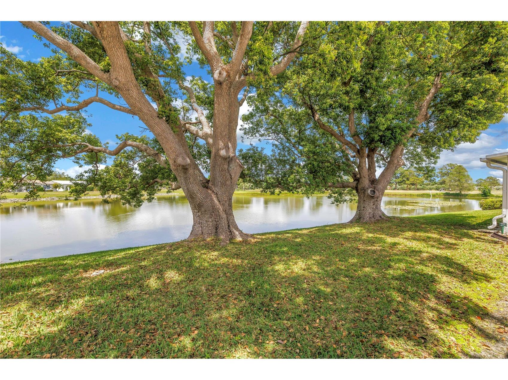 9210 40th Street N Pinellas Park FL 33782 TB8495190 image10