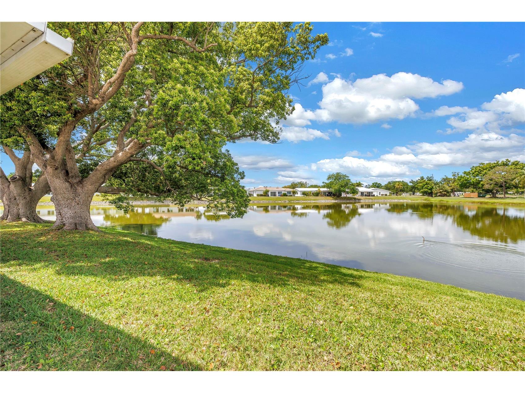 9210 40th Street N Pinellas Park FL 33782 TB8495190 image13