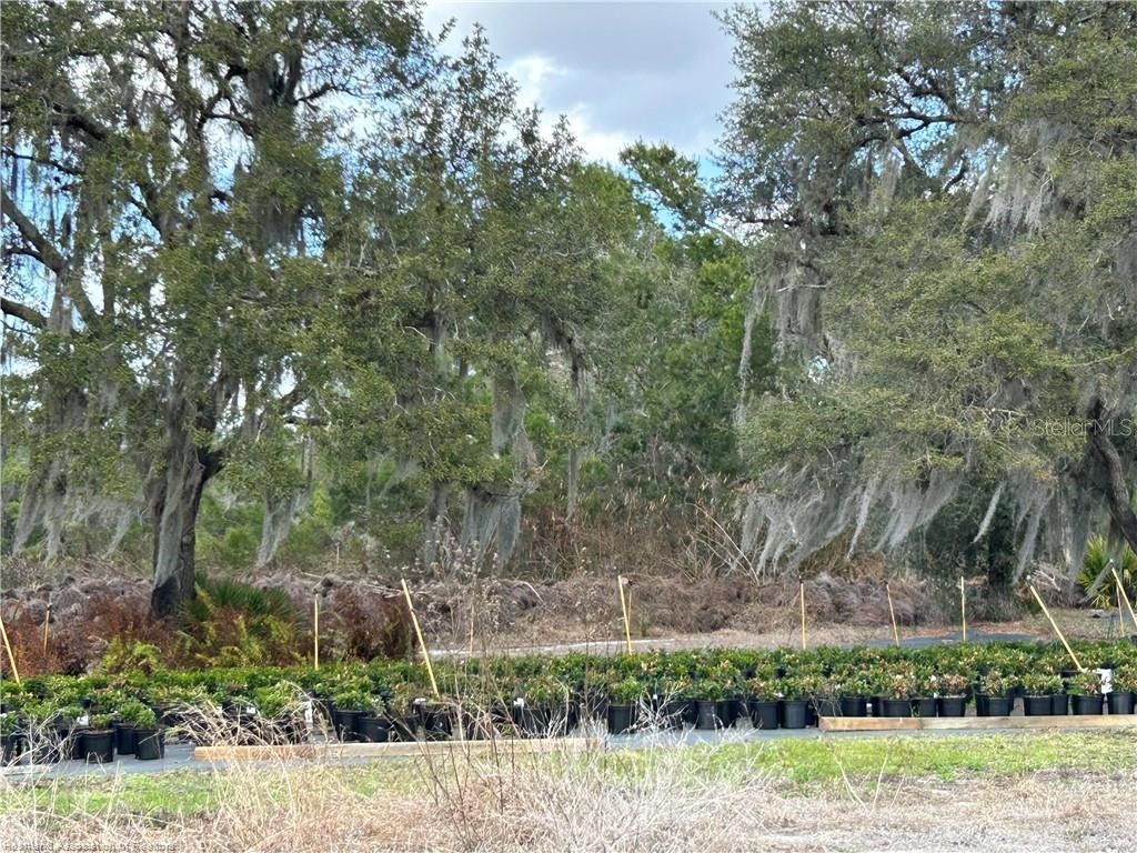 9210 County Road 635 Sebring FL 33875 L4960243 image8