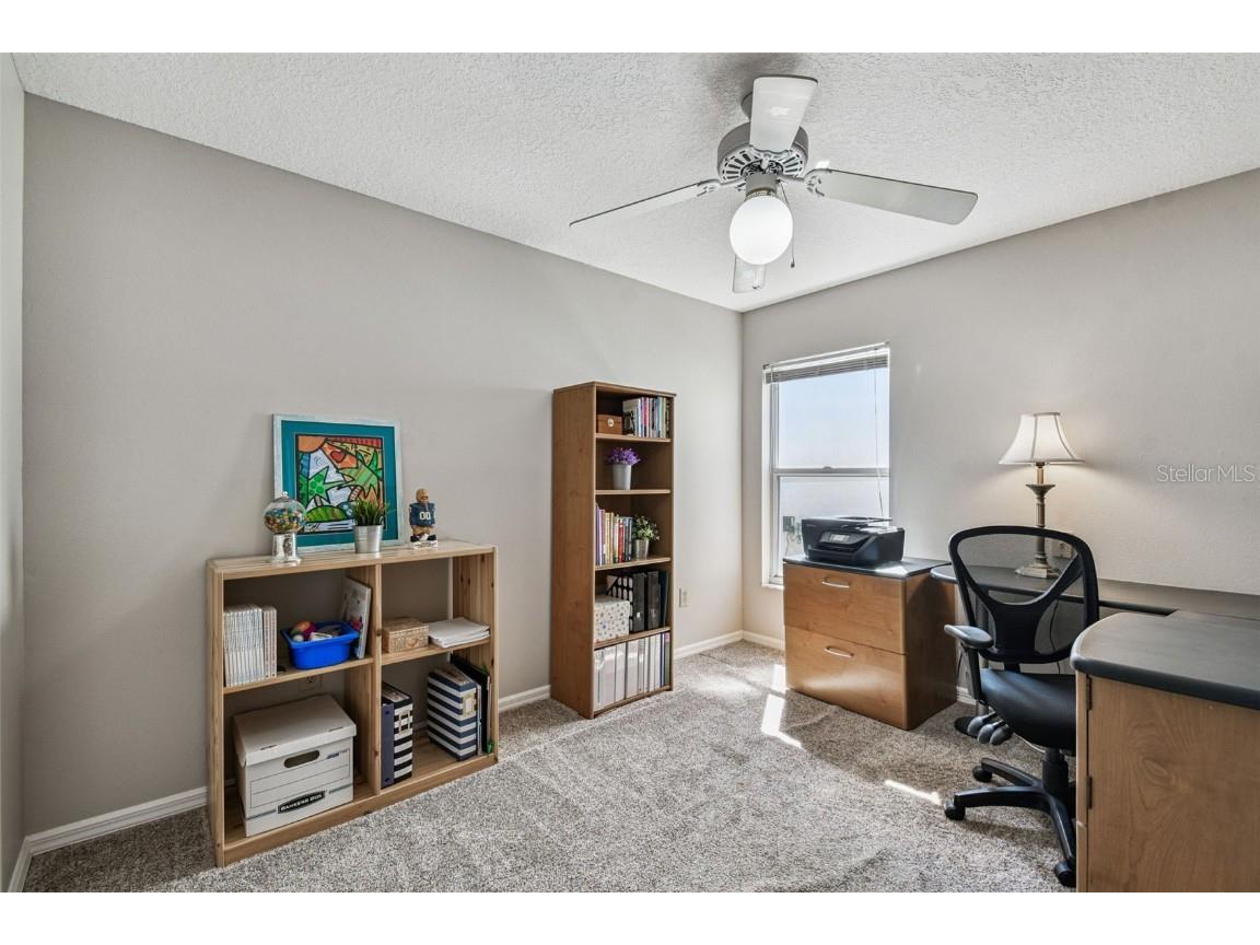 9210 Dayflower Drive Tampa FL 33647 TB8429694 image38