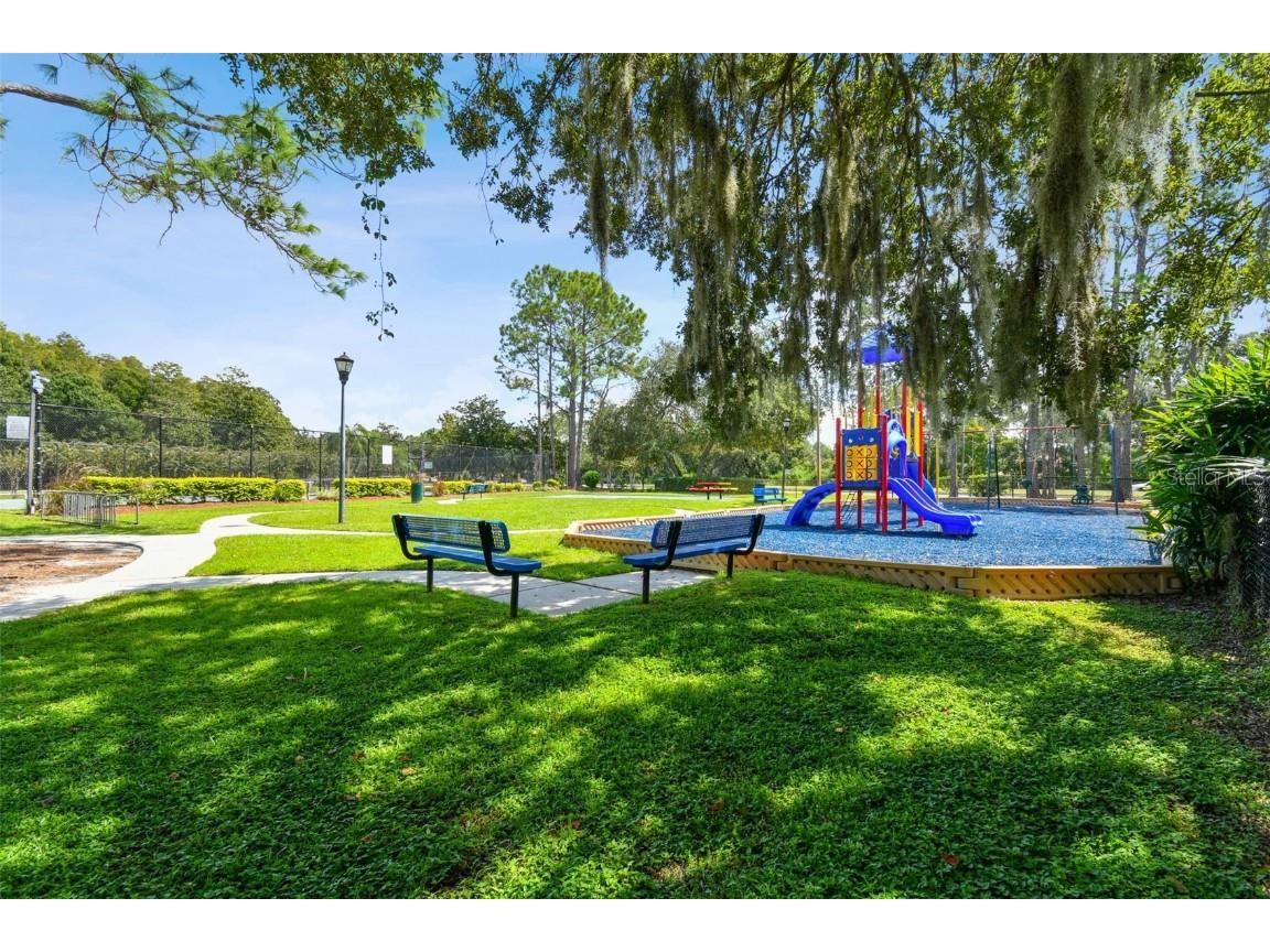 9210 Dayflower Drive Tampa FL 33647 TB8429694 image52