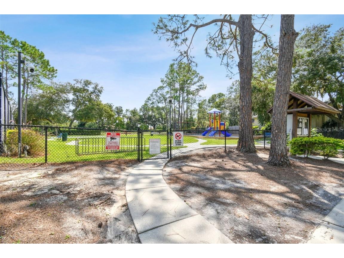 9210 Dayflower Drive Tampa FL 33647 TB8429694 image56