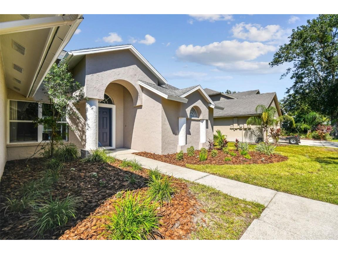 9210 Dayflower Drive Tampa FL 33647 TB8429694 image9