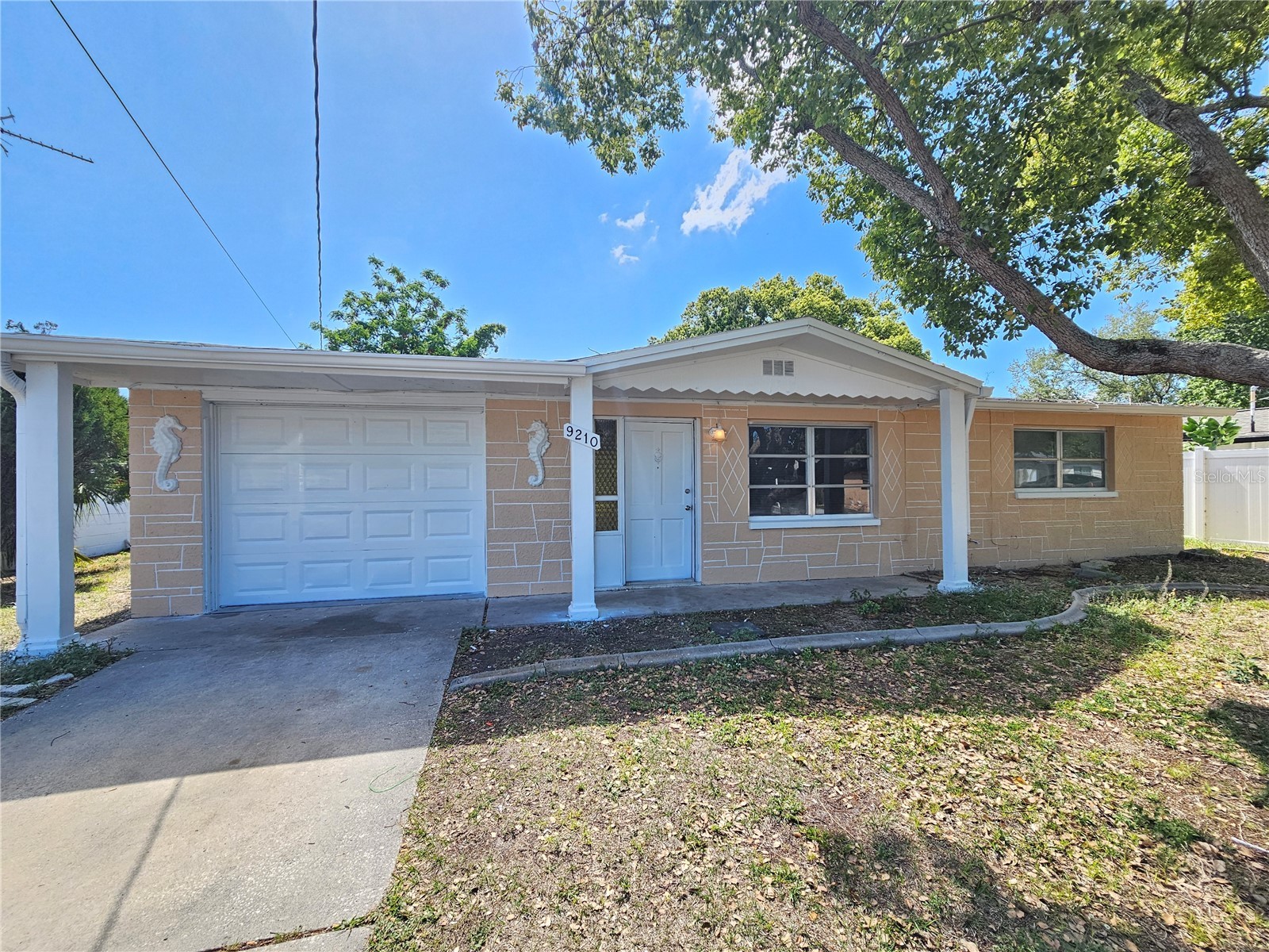 9210 Pegasus Avenue Port Richey FL 34668 TB8499944 image1